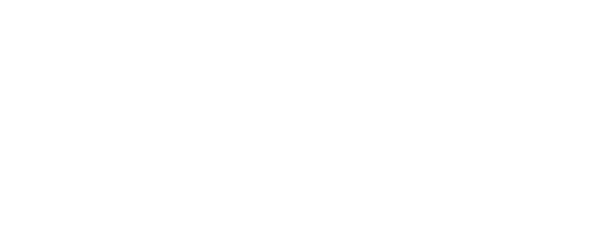 DZUS Records Logo